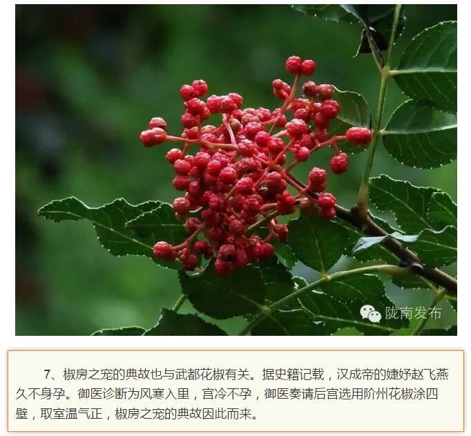 蘭渝鐵路最早由孫中山先生提出？在隴南，你不知道的事兒還有……
