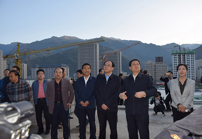 全國(guó)、省市政協(xié)委員體驗(yàn)蘭渝鐵路、視察階州廣場(chǎng)