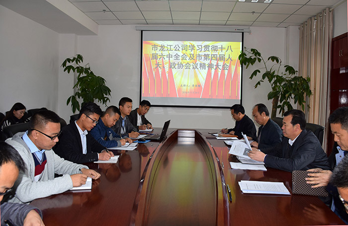 市龍江公司召開全體員工大會(huì)，專題傳達(dá)學(xué)習(xí)上級(jí)會(huì)議精神
