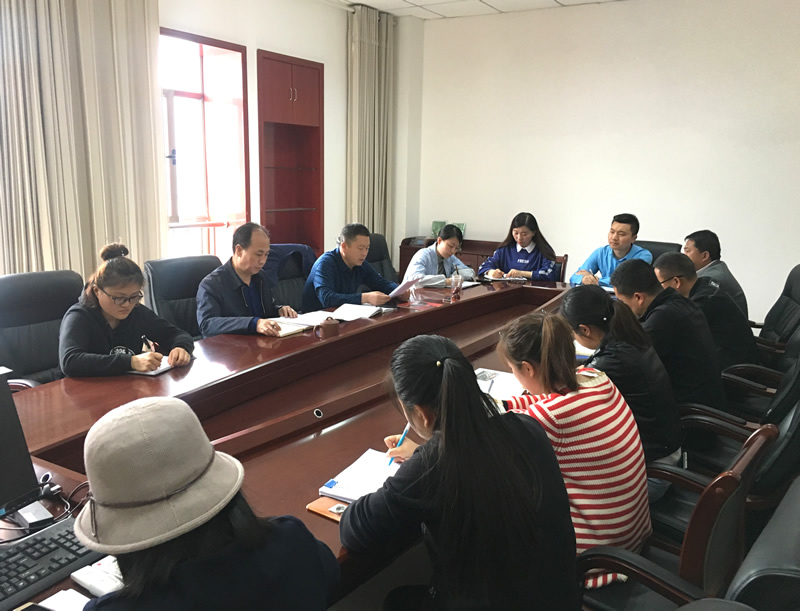 市龍江城鄉(xiāng)發(fā)展集團(tuán)專題學(xué)習(xí)近期中央、省、市紀(jì)律檢查委員會(huì)議精神